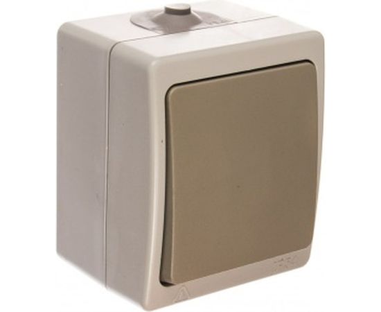 Одноклавишный выключатель TDM открытой установки 10А Вуокса SQ1803-0001 
