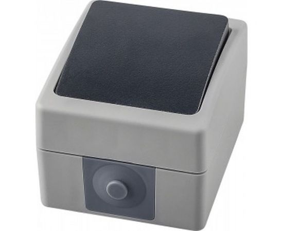 Одноклавишный переключатель STEKKER открытой установки однополюсный на два направления, 250В, 10А 32756 