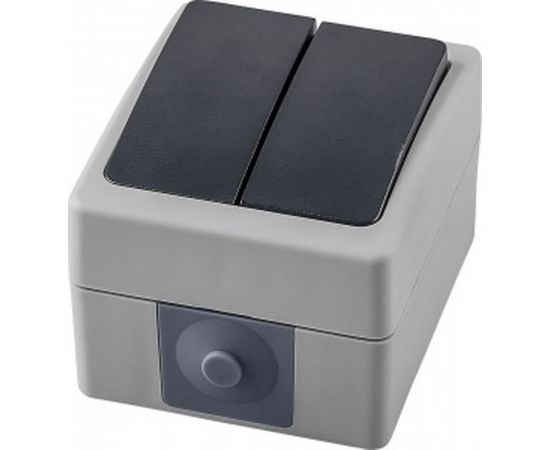 Двухклавишный выключатель STEKKER открытая установка, однополюсный для двух цепей, с общим вводом 32753 