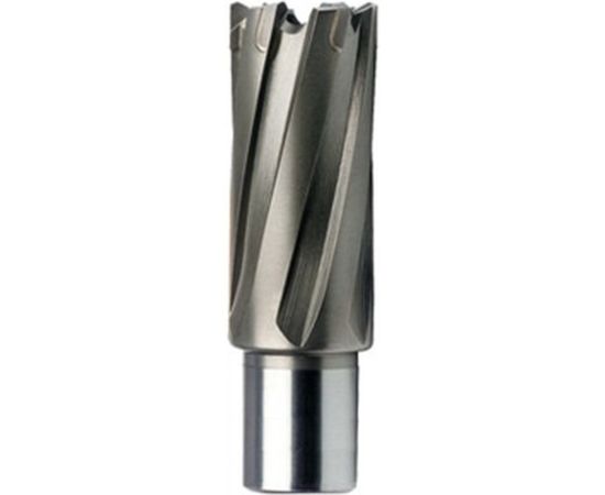 Фреза кольцевая HSS (17x55 мм) FE POWERTOOLS FE5517 