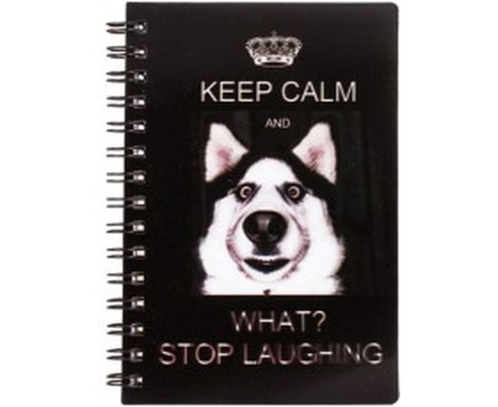 Блокнот BRAUBERG 93 х135 мм, А6, 50л, склейка, 3D обложка, безлиновки, Стиль, 128093 