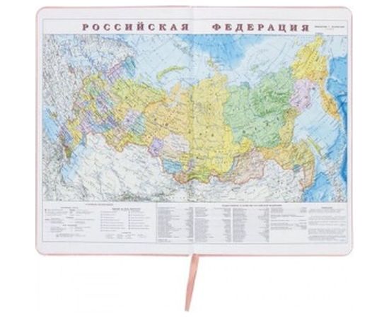 Недатированный ежедневник BRAUBERG Profile А5 138x213 мм, балакрон, 136 л, светло-розовый 111661 – изображение 4