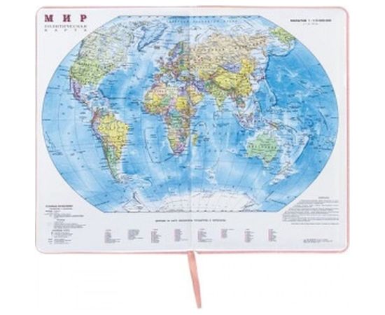 Недатированный ежедневник BRAUBERG Profile А5 138x213 мм, балакрон, 136 л, светло-розовый 111661 – изображение 5