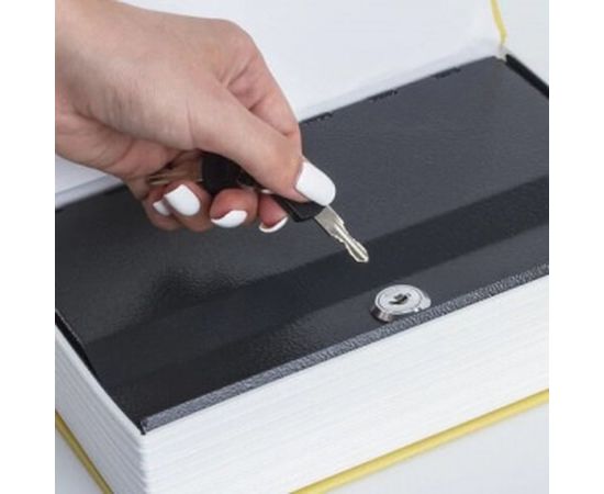 Сейф-книга BRAUBERG 12 стульев 60х170х240 мм, ключевой замок 291058 – изображение 5