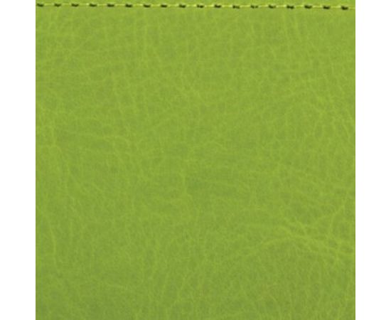 Недатированный ежедневник BRAUBERG Rainbow А5 138x213 мм, кожзам, 136 л, зеленый 111669 – изображение 6