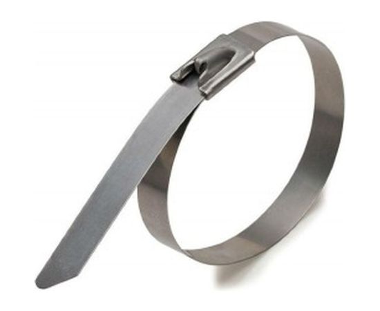 Стальные стяжки FORTISFLEX СКС (304) 4,6х200 74910 