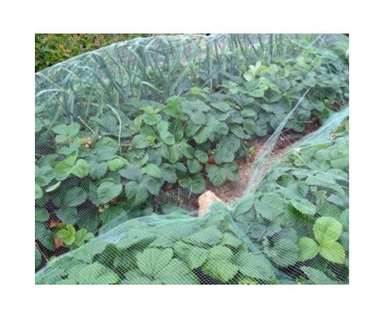 Сетка от птиц Протэкт 2х10 м, хаки У-6/2/10 – изображение 3