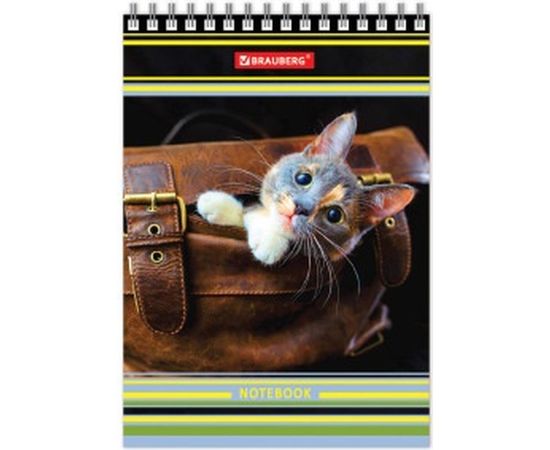 Блокнот BRAUBERG 105 х150 мм, А6, 80л, гребень, тверд. картон, клетка, Котята, 129839 