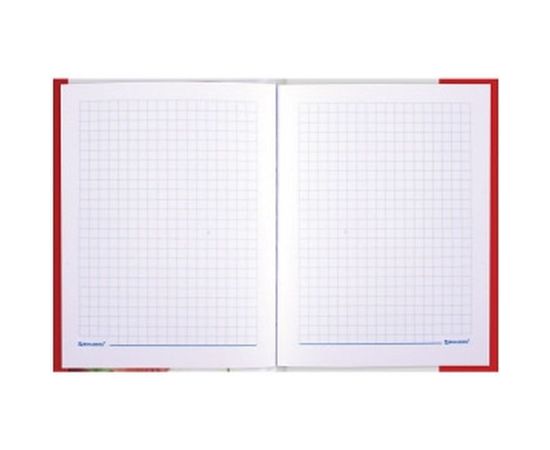 Блокнот BRAUBERG 110 х147 мм, А6, 80л, ламинир. обложка, выборочн. лак, клетка, Красные маки, 123243 – изображение 4
