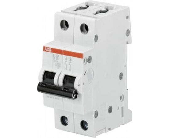 Автоматический выключатель ABB 2-полюсный S202 B16 2CDS252001R0165 
