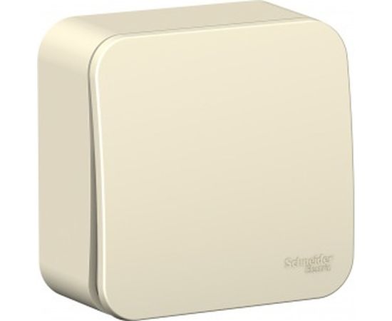 1-клавишный выключатель Schneider Electric BLANCA, О/У, cх.1, 10А, 250B, молочный BLNVA101002 
