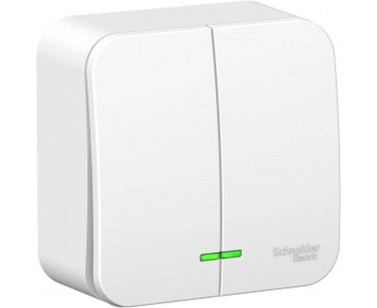 2-клавишный выключатель с подсветкой Schneider Electric BLANCA, О/У, 6А, 250B, белый BLNVA065111 