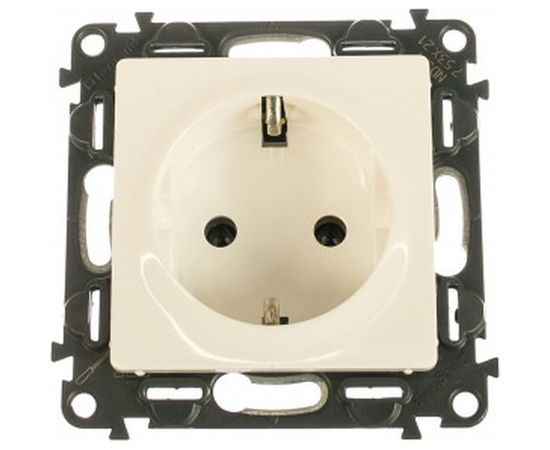 Механизм розетки Legrand Valena Life 16А 250В 2К+З с лицевой панелью Leg 753421 414124 