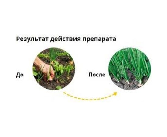 Средство для борьбы с сорняками на овощных культурах Avgust Миура КЭ флакон 12 мл A00496 – изображение 3