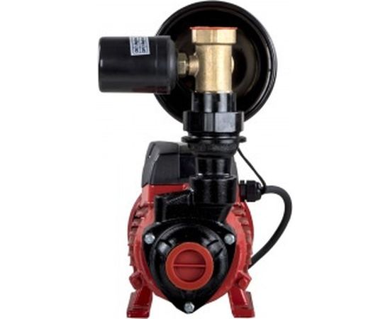 Насосная станция QUATTRO ELEMENTI Automatico 401 Ci 918-597 – изображение 3