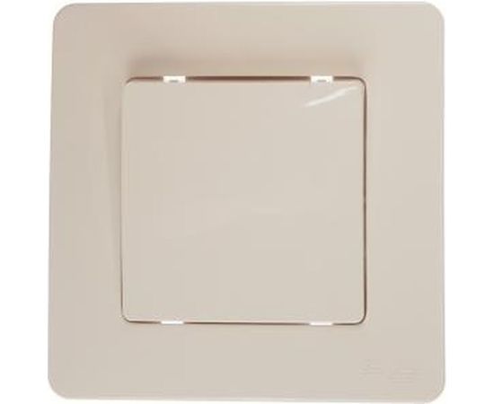 1-клавишный выключатель Schneider Electric BLANCA 10А, 250B, МОЛОЧНЫЙ BLNVS010102 