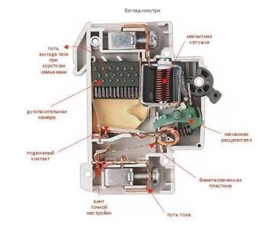 Автомат СВЕТОЗАР 1п, 25 A, C, 6 кА, 230/400 В SV-49061-25-C – изображение 3