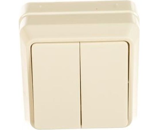 Наружный 2-клавишный выключатель IEK ОКТАВА белый EVO20-K01-10-DC 