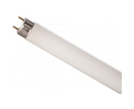 Лампа люминесцентная Camelion FT8-36W/33 4200K 5877 – изображение 2