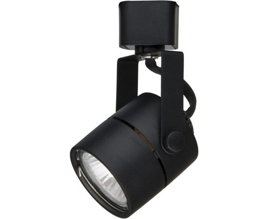 Потолочный светильник Arte Lamp A1310PL-1BK 