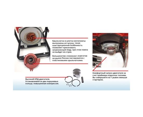 Бензиновая мотопомпа DDE WP250 919-891 – изображение 12