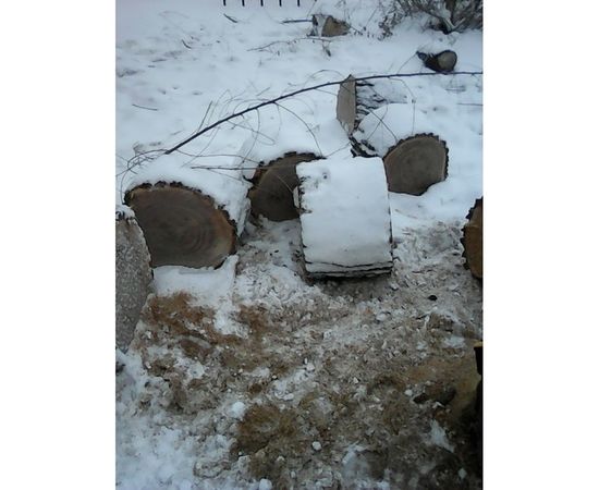 Бензиновая цепная пила Denzel DGS-5218 95233 – изображение 10