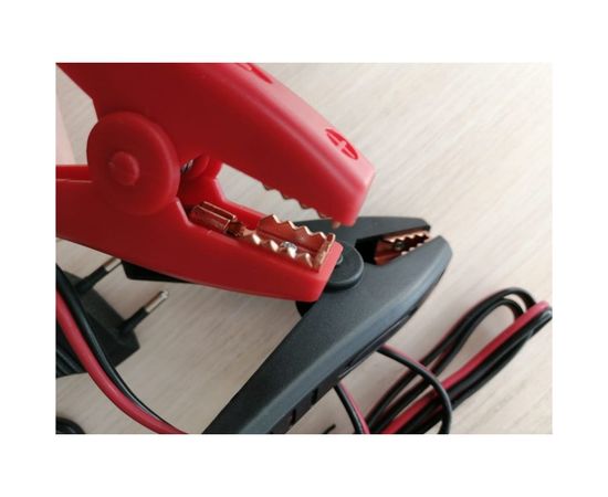 Электронное зарядное устройство для свинцово-кислотных аккумуляторов Goodyear CH-10A GY003003 – изображение 2