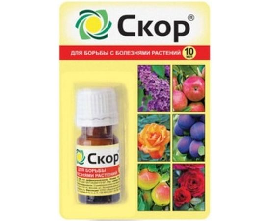 Фунгицид для защиты плодовых культур от комплекса болезней Скор 10 мл Ваше Хозяйство 4680028944027 