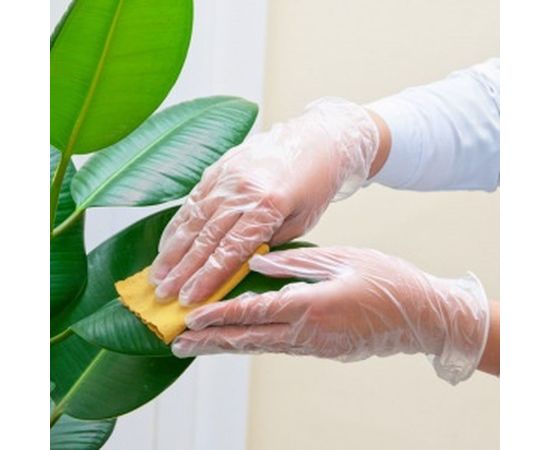 Виниловые неопудренные перчатки AVIORA р.M, 100 шт. 402-638 – изображение 2