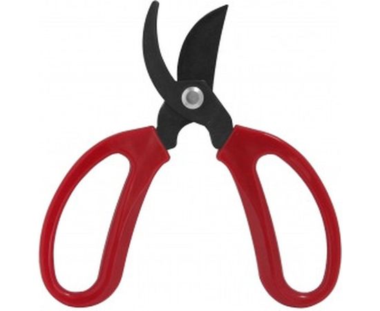 Ножницы для цветов FRUT CLUB 402305 