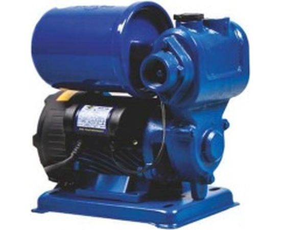 Автоматическая насосная станция MATEUS TGP125 MS05403 