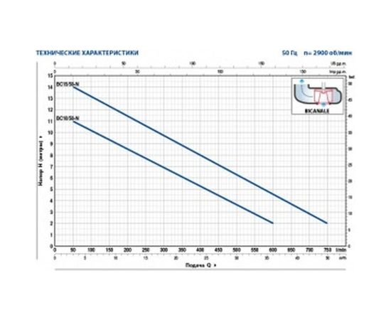 Насос Pedrollo BCm 10/50 -N 48SGM81A0A1 – изображение 2