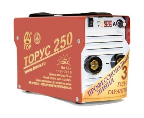 Сварочный аппарат с комплектом проводов Торус 250 