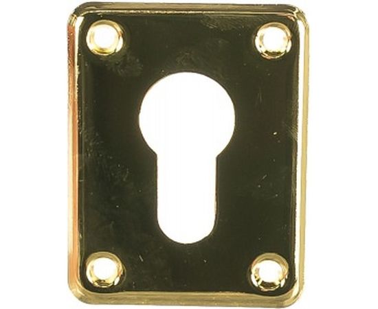 Декоративная накладка APECS DP-C-01-G 16348 – изображение 2