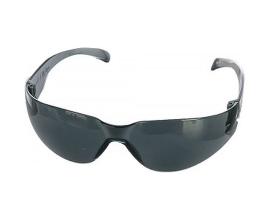 Открытые защитные очки Delta Plus затемненные BRAVA BRAV2FU 