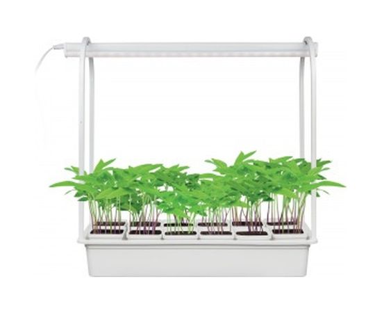 Светильник Uniel ULT-P34-10W/SPLE IP40 WHITE 12 Набор «Минисад», для растений UL-00004998 