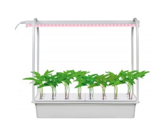 Набор для гидропоники Uniel ULT-P44D-10W/SPLE IP20 AQUA SIMPLE WHITE Минисад AQUASIMPLE UL-00004499 