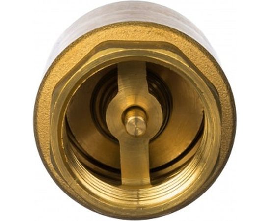 Обратный клапан FV-D 1" БЕЛАМОС – изображение 2