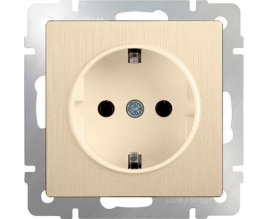 Розетка WERKEL WL10-SKGS-01-IP44 с заземлением и шторками шампань рифленый a035620 