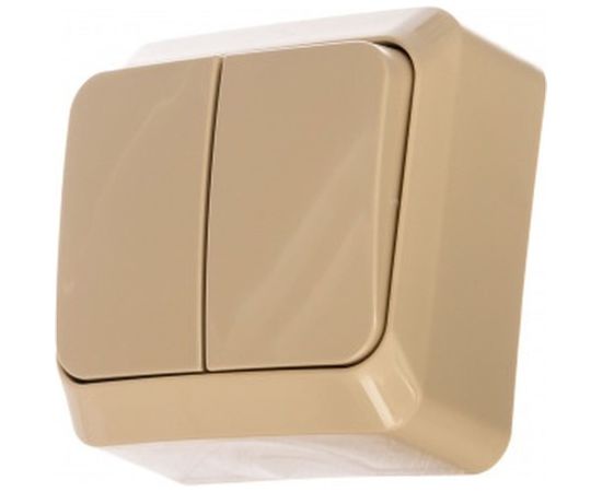 Двухклавишный выключатель Schneider Electric ОП Этюд 10А IP20 кремовый BA10-002K 