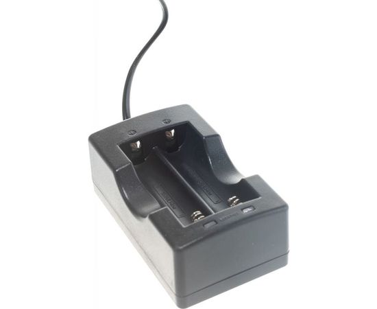 Зарядное устройство TANK007 для двух аккумуляторов 18650, 220В 18650ZU2 