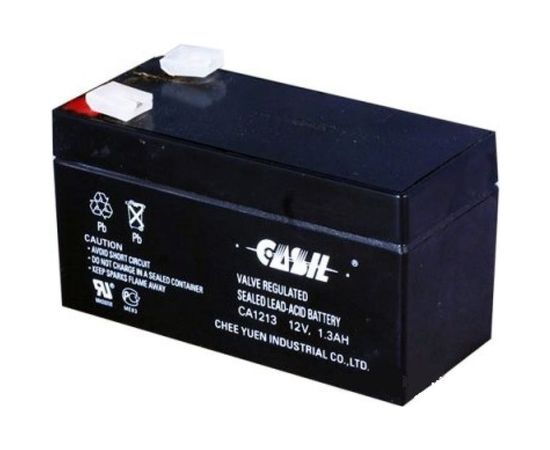 Аккумуляторная батарея CASIL CA1213 10601020 