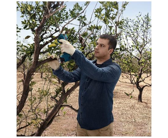 Аккумуляторный секатор Bosch 12 В 06019K1021 – изображение 12