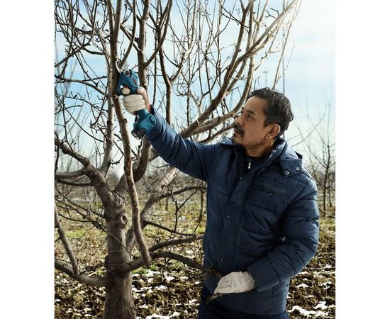 Аккумуляторный секатор Bosch 12 В 06019K1021 – изображение 9