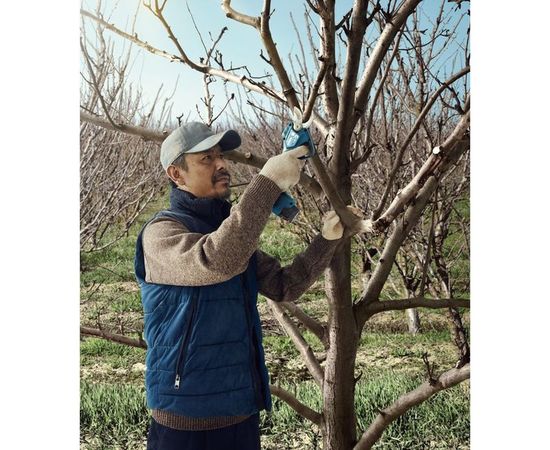 Аккумуляторный секатор Bosch 12 В 06019K1021 – изображение 10