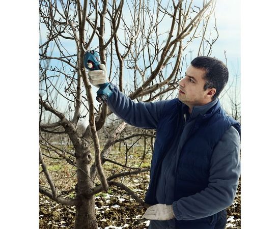 Аккумуляторный секатор Bosch 12 В 06019K1021 – изображение 2