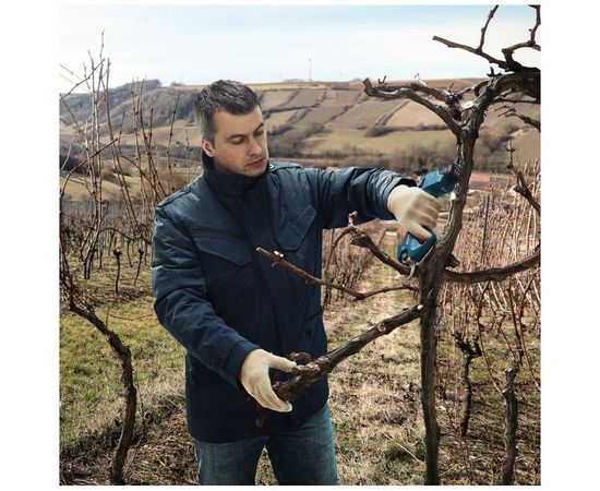 Аккумуляторный секатор Bosch 12 В 06019K1021 – изображение 4