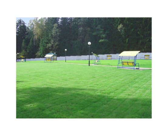 Семена газона TM SORTLINE Смесь трав Универсальная 1 кг 4620766500413 – изображение 2