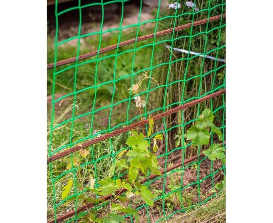 Сетка для винограда Протэкт 90х100, 10 м, зеленая Ф-90/1/10 з – изображение 3