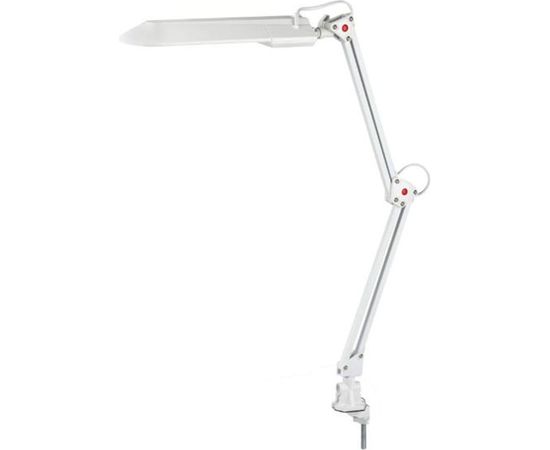 Настольный светильник ЭРА NL201G2311WW белый C0041457 